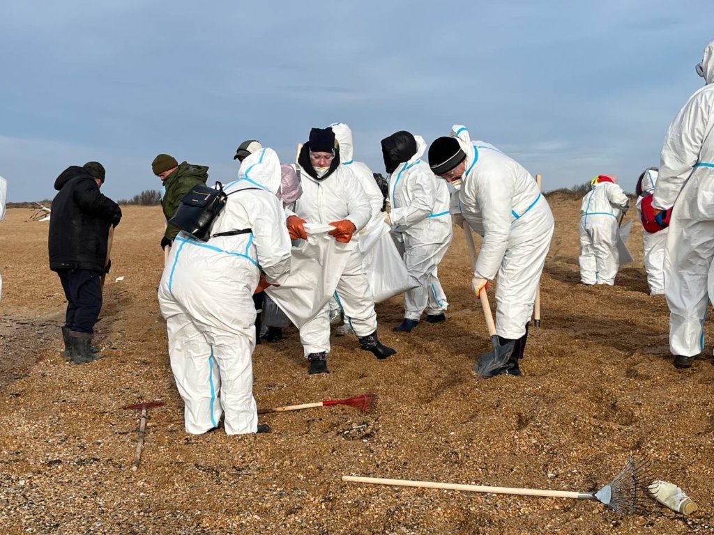 Пляжи Анапы после разлива мазута планируют восстановить к началу сезона