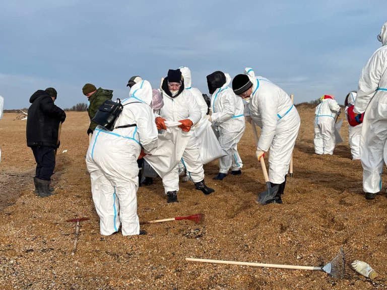 На краснодарском побережье будут применять укрывные сети