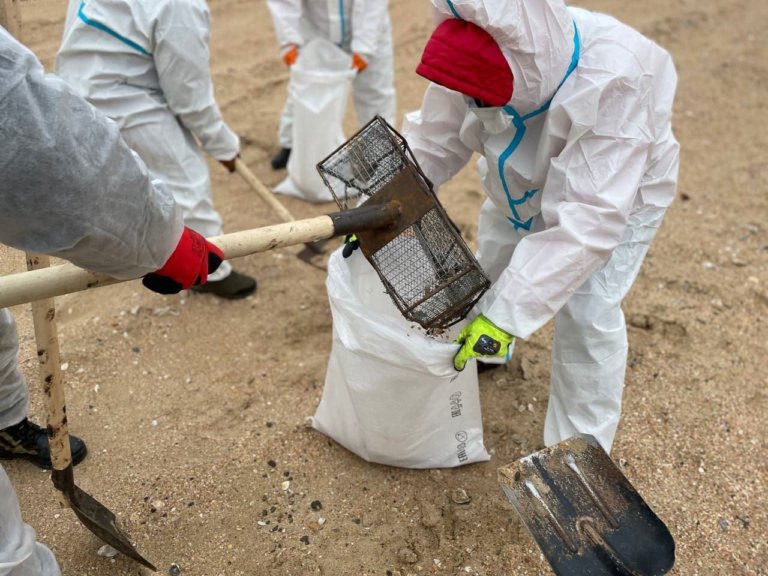 С побережья Черного моря вывезли 180 тысяч тонн загрязненного песка