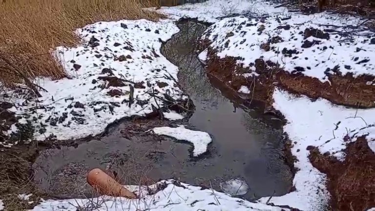 В Балтийское море сливают загрязненные стоки с пеной