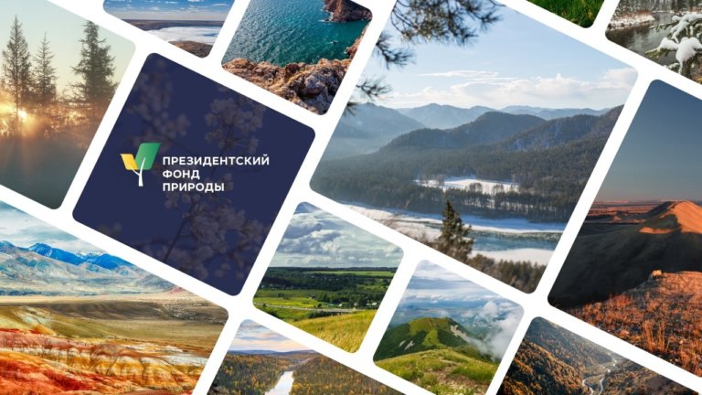 В России создали Президентский фонд природы