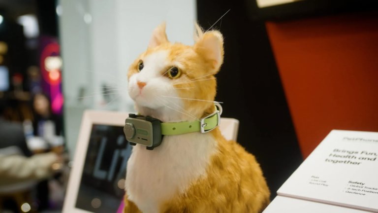 PetPhone: в Гонконге разработали первый в мире смартфон для питомцев