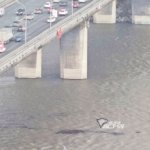 На Оби в Новосибирске зафиксированы мазутные пятна