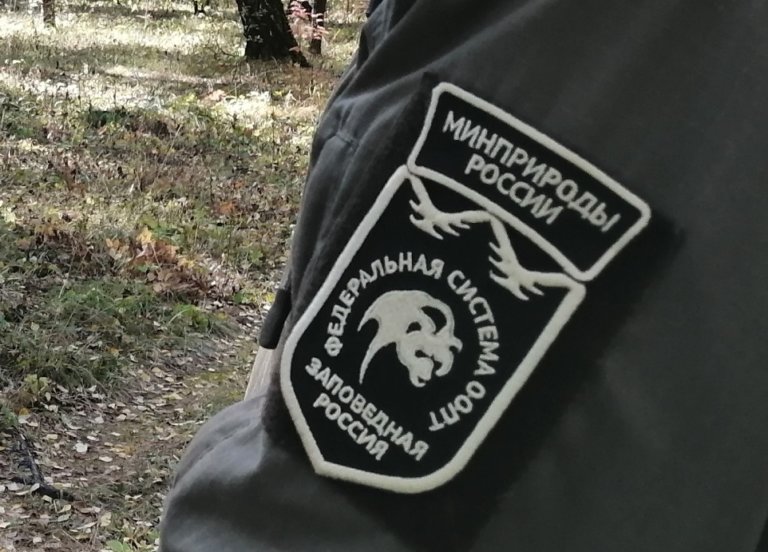 Конкурс «Молодые лидеры заповедной системы» расширяет круг участников