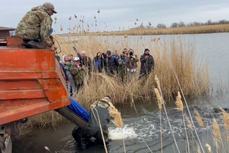 В Веселовское водохранилище на Дону выпустили более двух тысяч мальков
