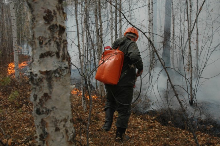 Правительство направит около 3 млрд рублей на компенсацию расходов регионов по борьбе с лесными пожарами