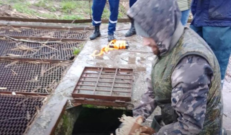 В Великом Новгороде из решетки коллектора спасли баклана