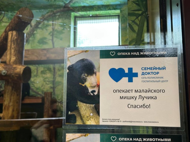 «Семейный доктор» стал опекуном малайского медведя Московского зоопарка