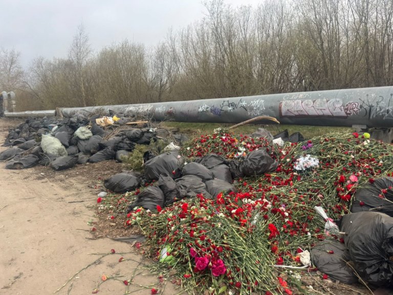 В Архангельске после Дня Победы обнаружили свалку из георгиевских лент и гвоздик
