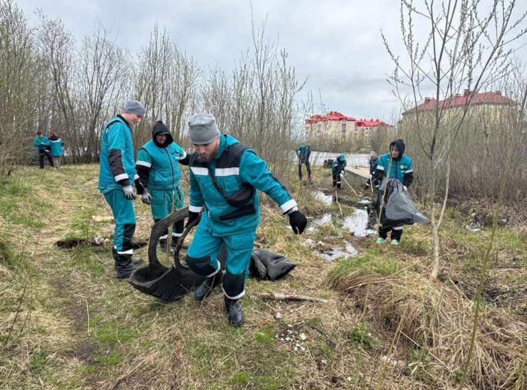 С побережья озера в Нижневартовске вывезли пять тонн отходов