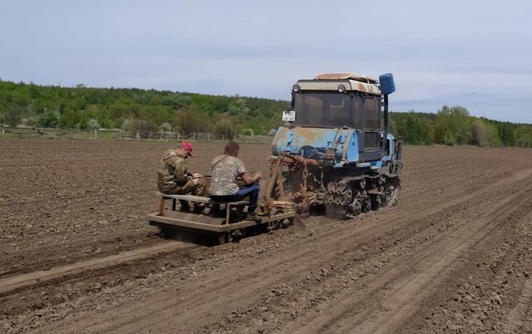 В лесных питомниках Ростовской области высадили более 20 гектаров семян
