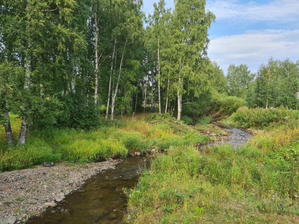 В Карелии планируют расчистить пять рек