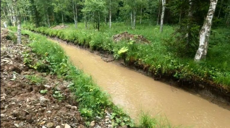 Золотодобытчики загрязнили ручей в Кузбассе