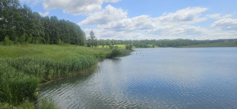 В Подмосковье приступили к расчистке Синьковского водохранилища