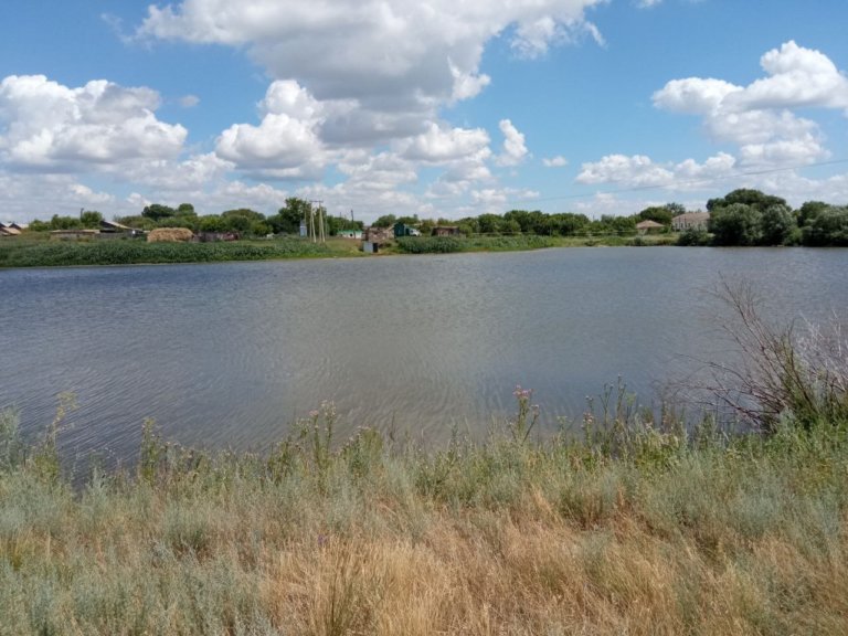 В Саратовской области до конца года расчистят два водохранилища и реку