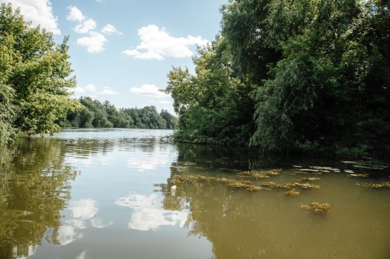 В Курской области от обмеления спасут три водных объекта