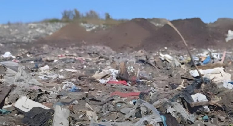 Ущерб от незаконной свалки в Иркутской области составил более 1 млрд рублей