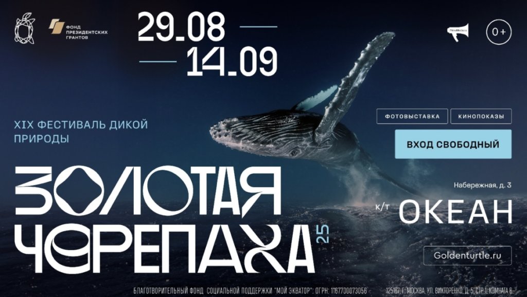 Во Владивостоке откроется фестиваль дикой природы «Золотая черепаха»