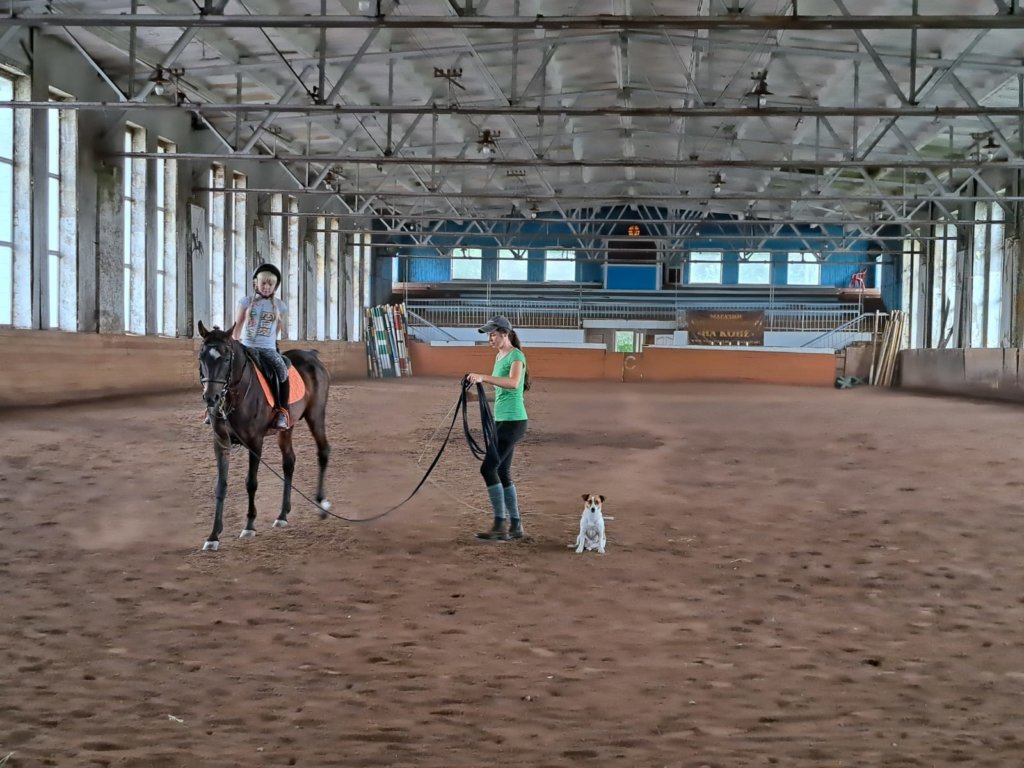 Фото: Елена Грибкова