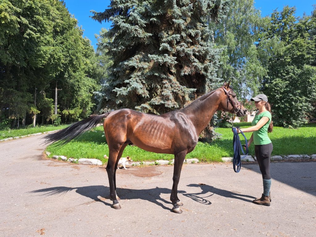 Фото: Елена Грибкова