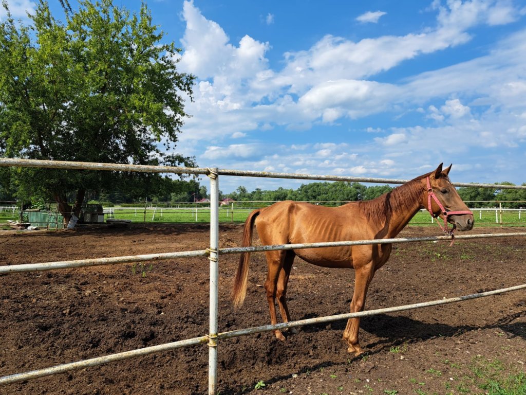 Фото: Елена Грибкова