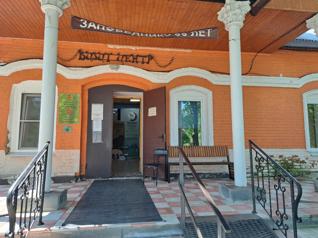 Фото: Елена Грибкова