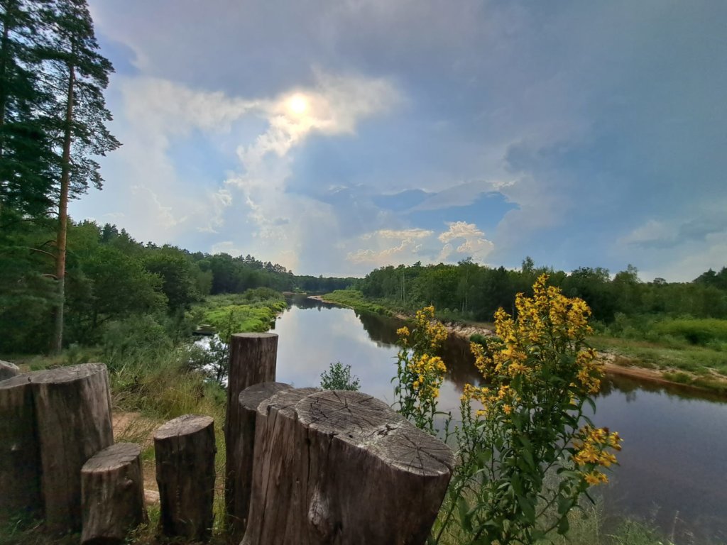 Фото: Елена Грибкова