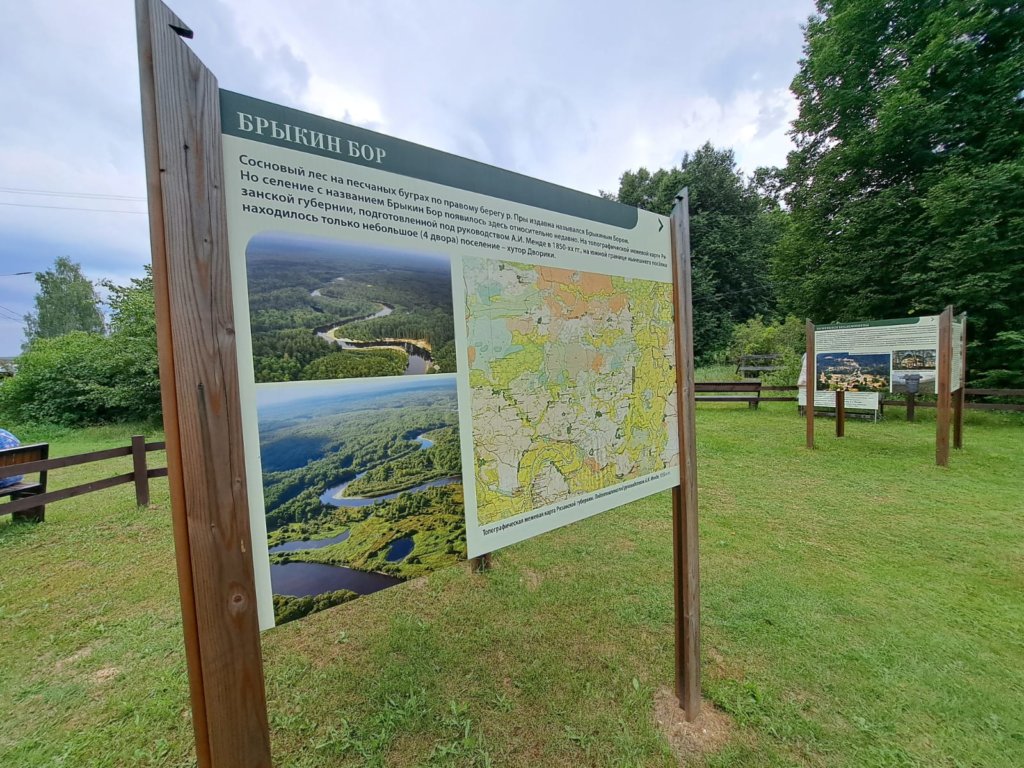 Фото: Елена Грибкова