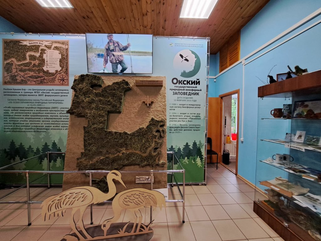 Фото: Елена Грибкова