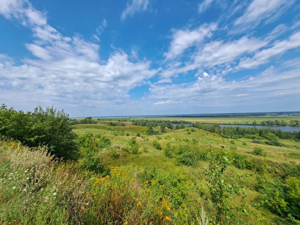 Фото: Елена Грибкова