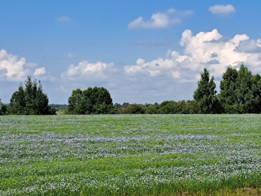 Фото: Елена Грибкова