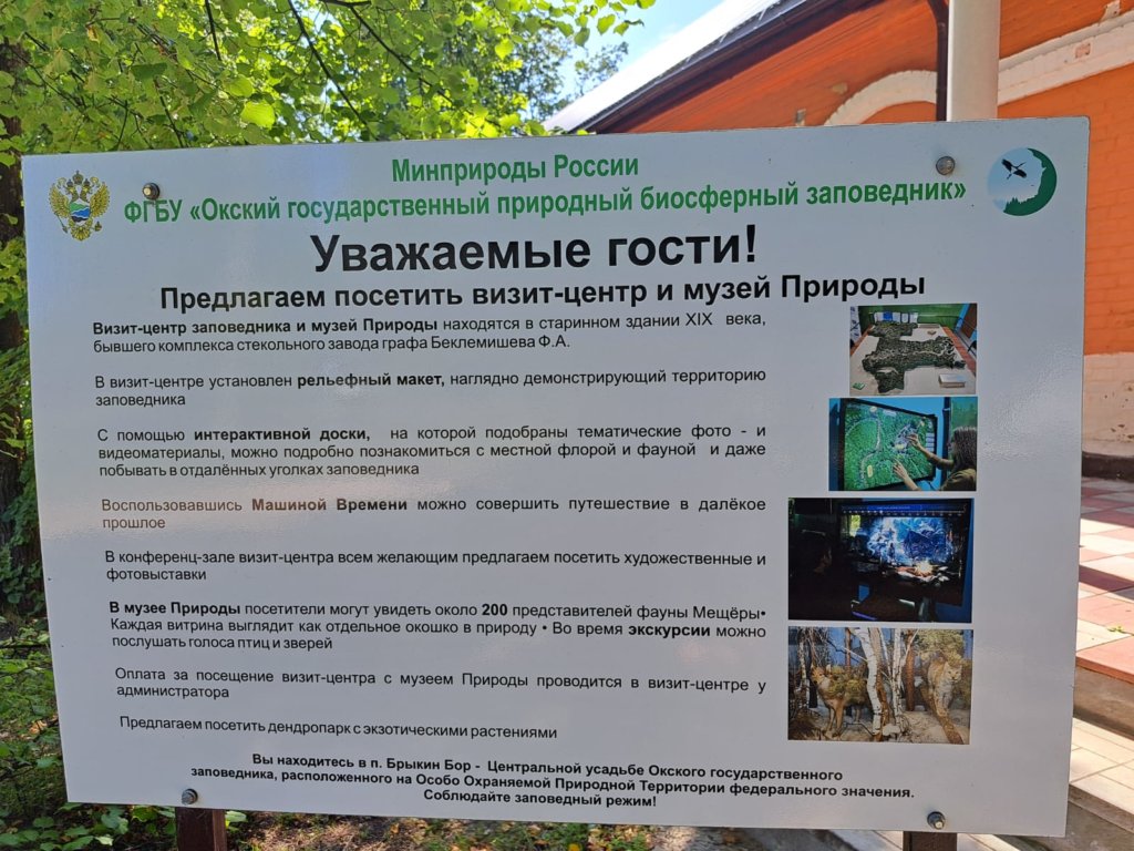 Фото: Елена Грибкова