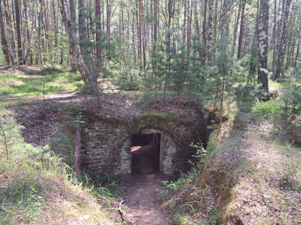 Фото: Елена Грибкова