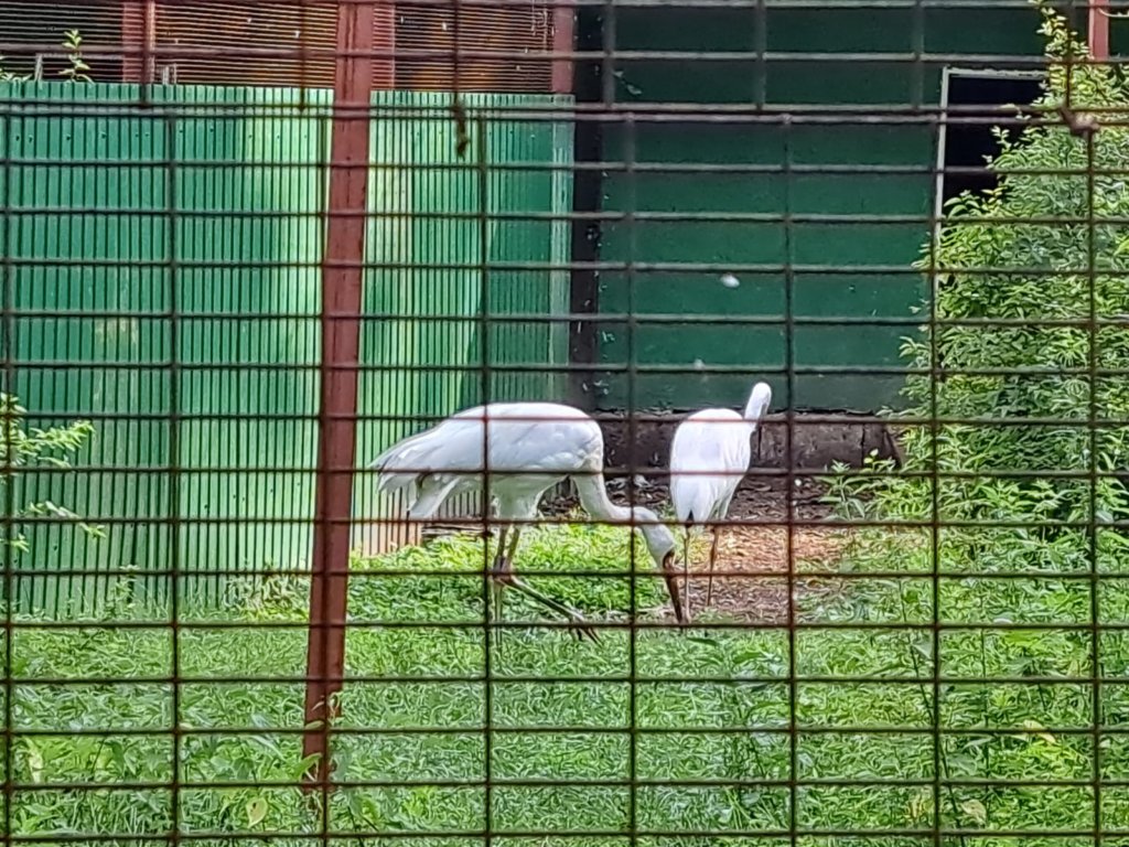 Фото: Елена Грибкова