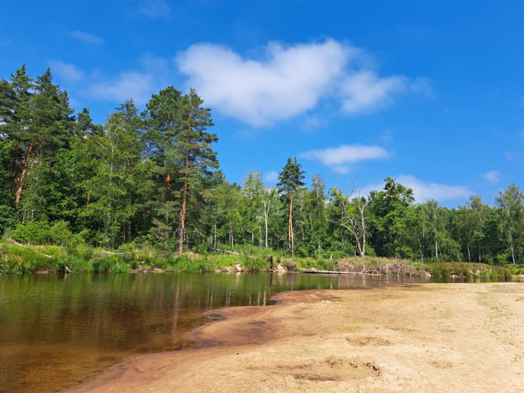 Фото: Елена Грибкова