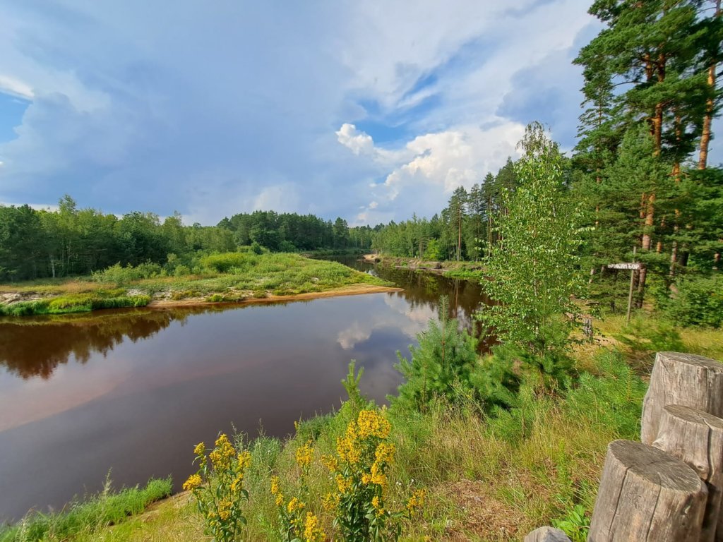 Фото: Елена Грибкова