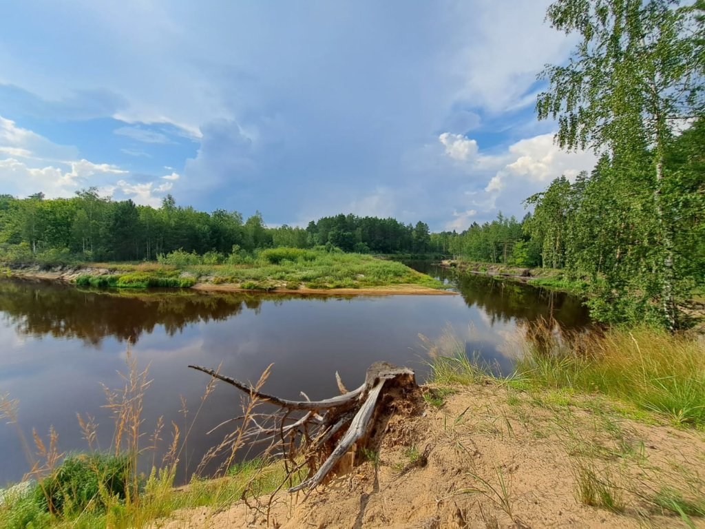Фото: Елена Грибкова