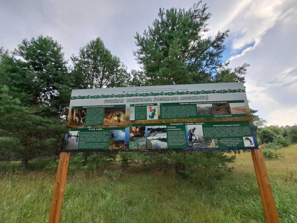 Фото: Елена Грибкова