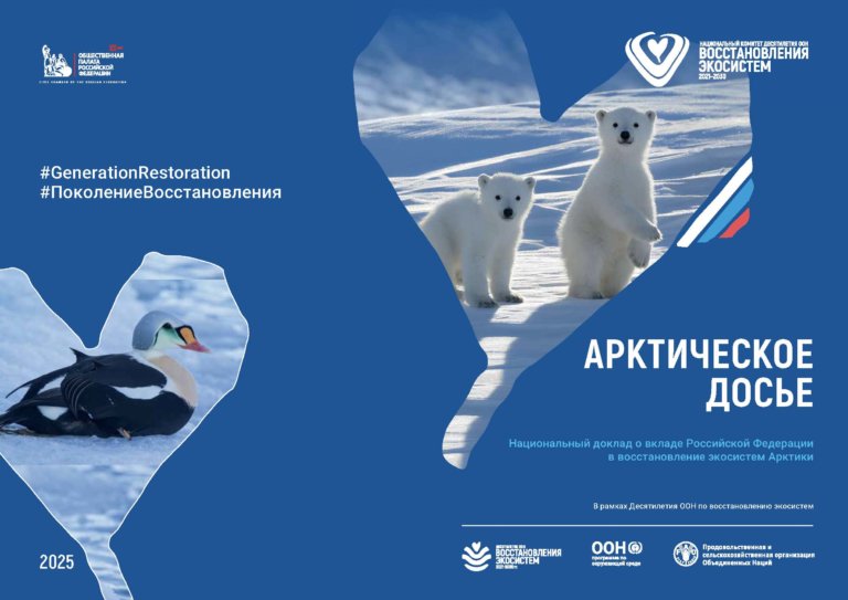 В Москве представят «Арктическое досье» в рамках Десятилетия ООН