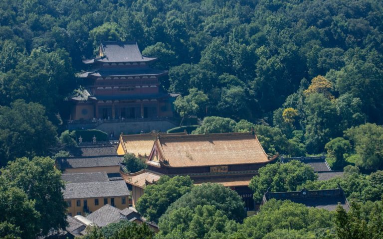В китайских храмах нашли «острова жизни» для редких деревьев