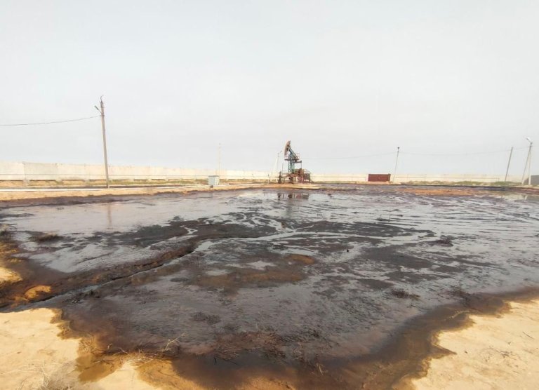 Более 5,7 млн — за вред Черному морю, 113 млн — за нефтепродукты в Калмыкии: новые решения судов