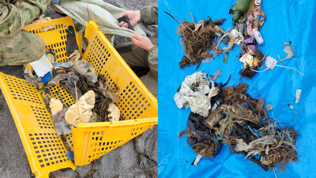 Изображение: пресс-служба Yandex Cloud