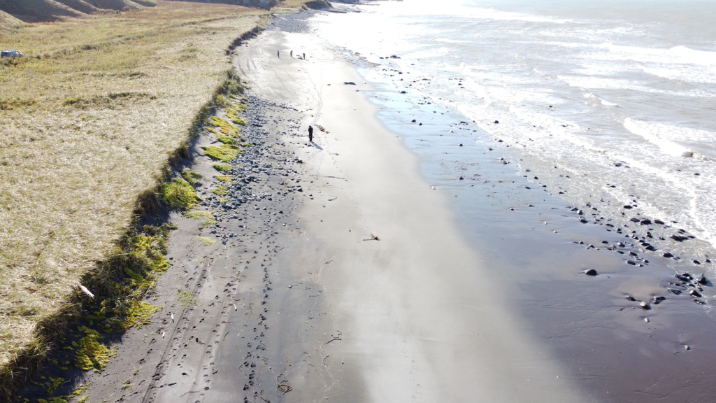 Изображение: пресс-служба Yandex Cloud