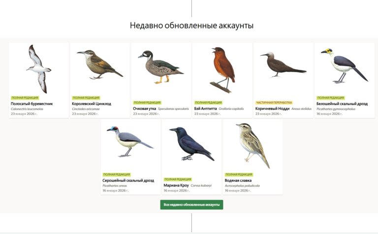 Опубликован интерактивный филогенетический атлас птиц мира
