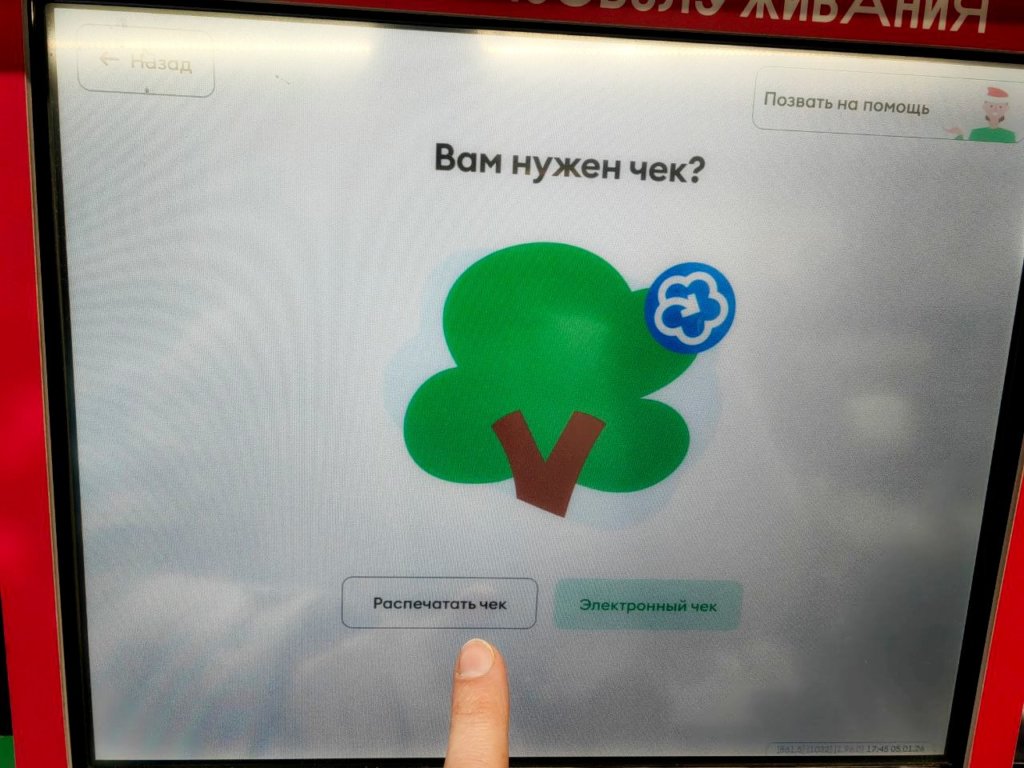 Экология неудобства: почему бумажных чеков снова стало больше