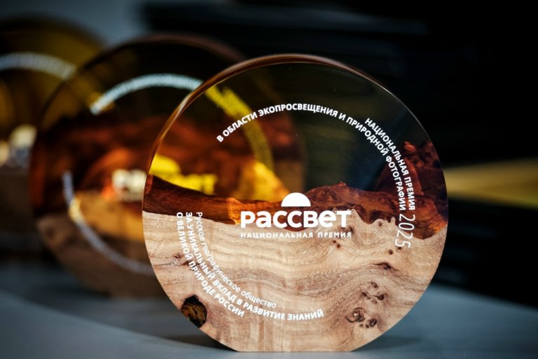 Национальная премия «Рассвет»: приём экопроектов завершится 1 февраля
