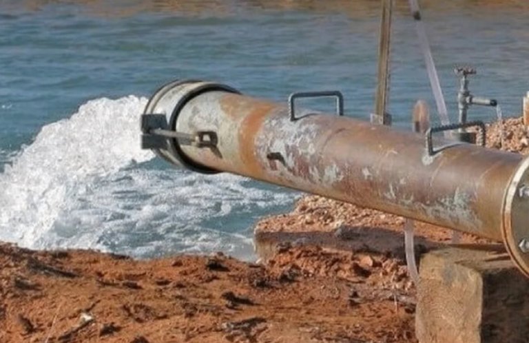 Экологический ущерб на десятки миллионов рублей выявлен в ходе проверок Росприроднадзора