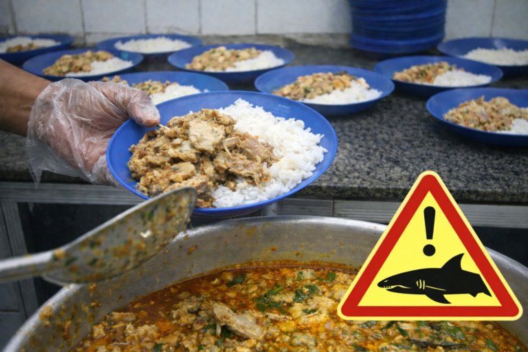 В Рио-де-Жанейро запретили акулье мясо в школьном питании