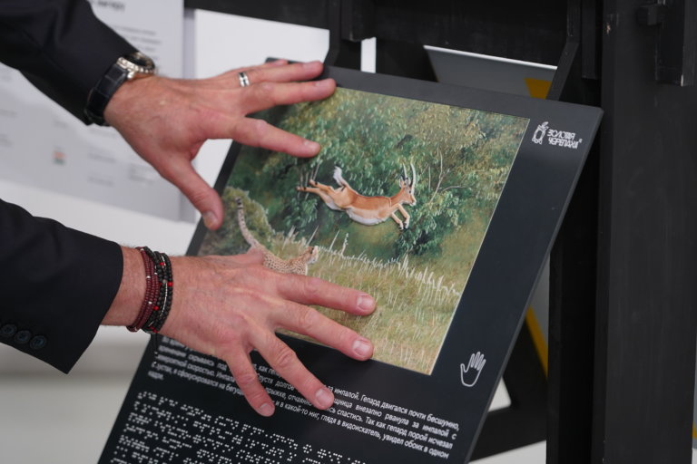Международный фестиваль дикой природы «Золотая черепаха» открылся в Казани