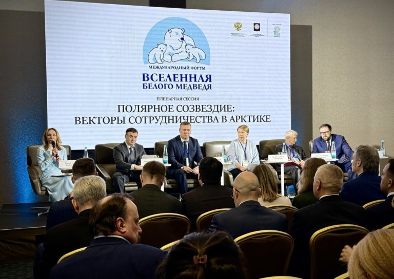 На форуме «Вселенная белого медведя» представили новые данные о популяции в Арктике